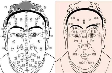 男人鼻子面相|男人面相分析鼻子 男人的鼻相如何解析